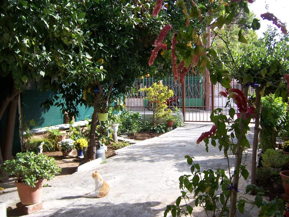 Garden view