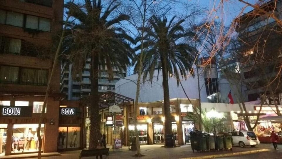 Lyon Central - Parking, Metro y Costanera Center Apartment in Providencia