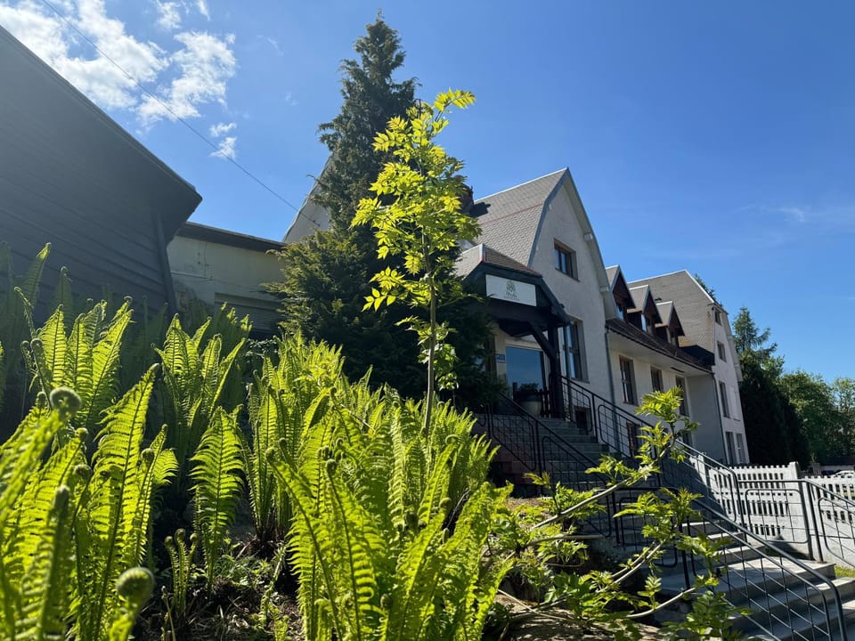 Property building, Spring, Day