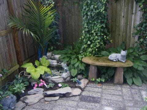 Garden view