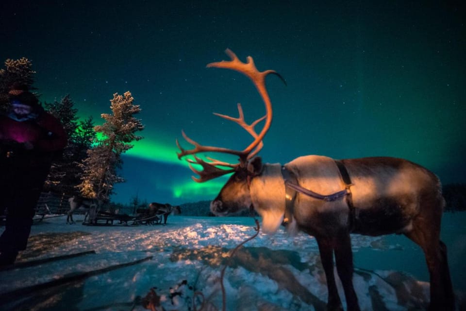 Hotel & Resort Sallavalkea Hotel in Lapland