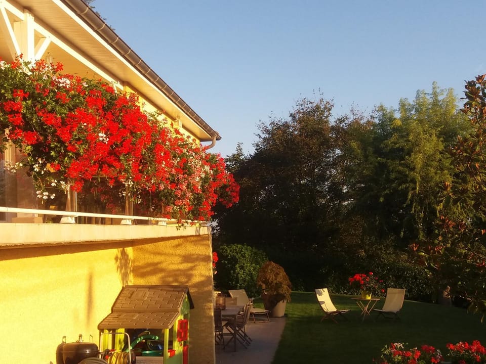 Patio, Garden, Balcony/Terrace, Garden view, Breakfast