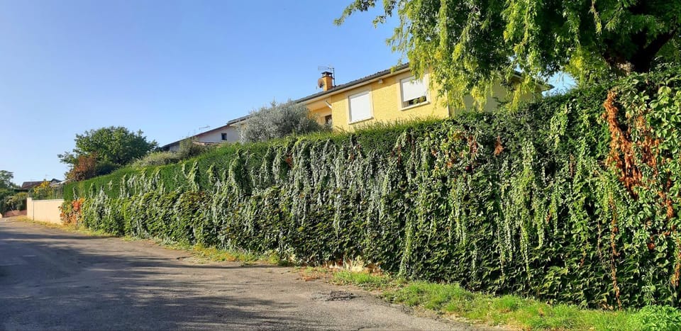 Property building, Natural landscape, Garden, View (from property/room), Garden view