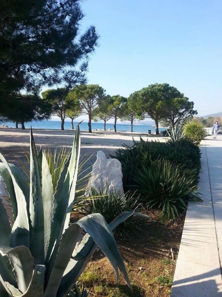 Apartment Dora Apartment in Crikvenica