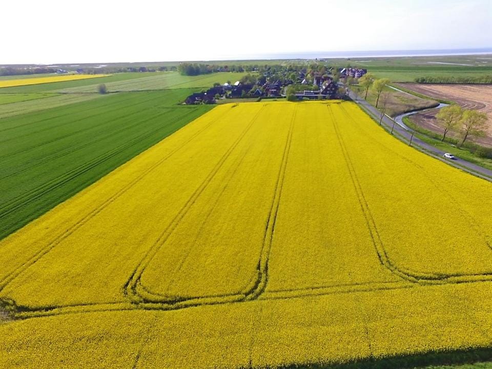Spring, Day, Natural landscape, On site