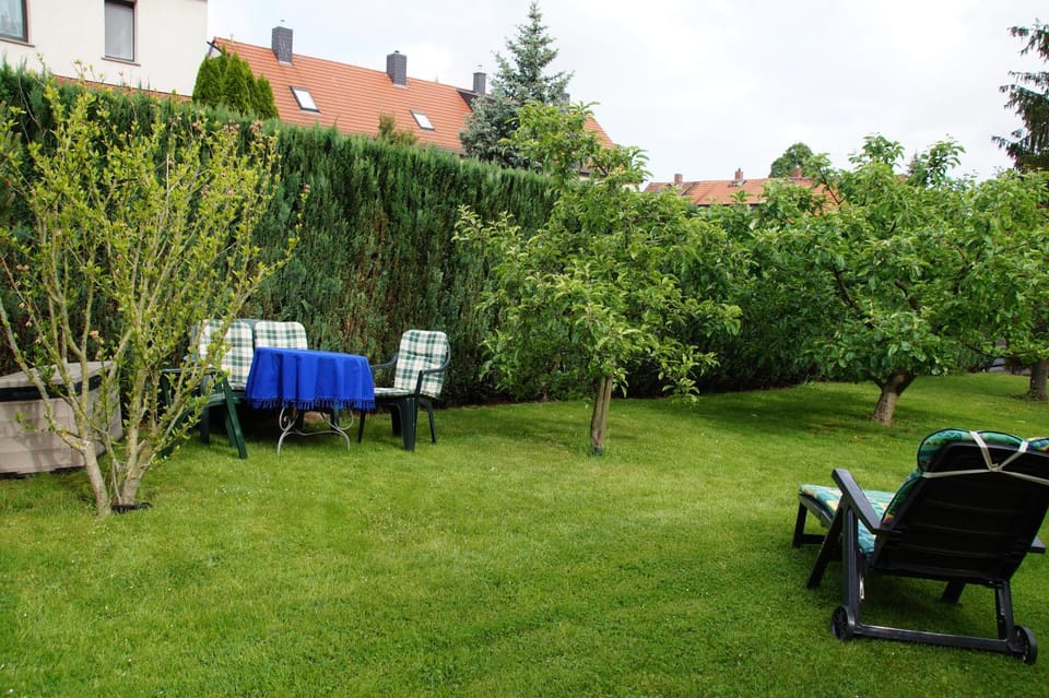 Summer, Garden, Garden view