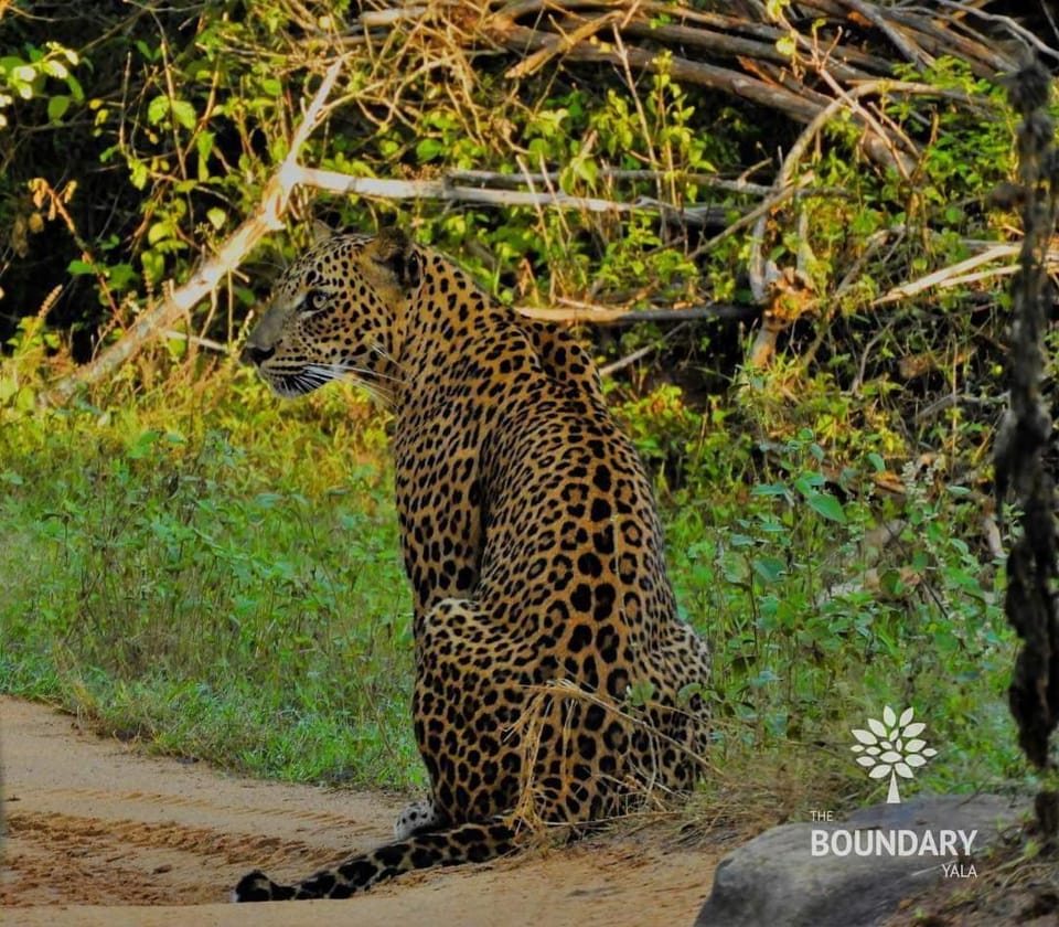 The Boundary Yala Resort in Southern Province