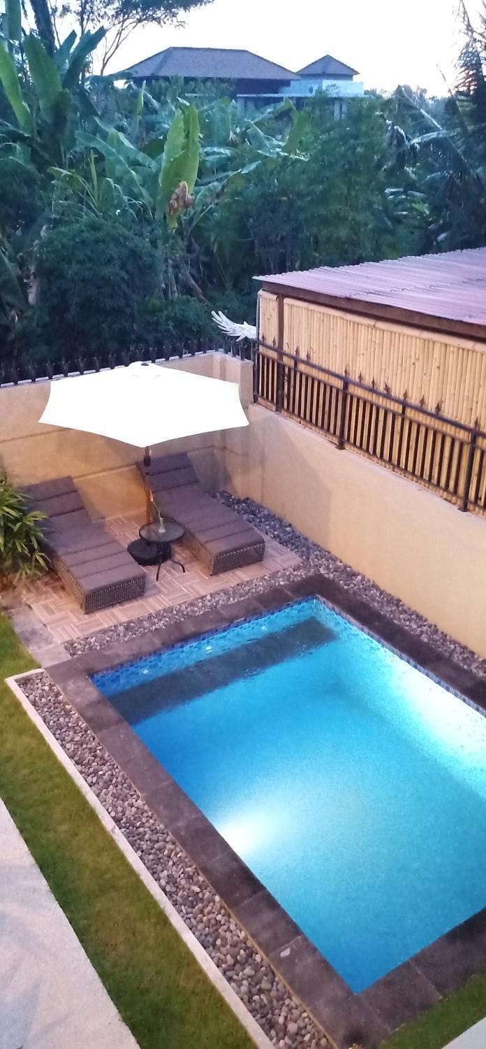 Day, Garden view, Pool view, Swimming pool, sunbed