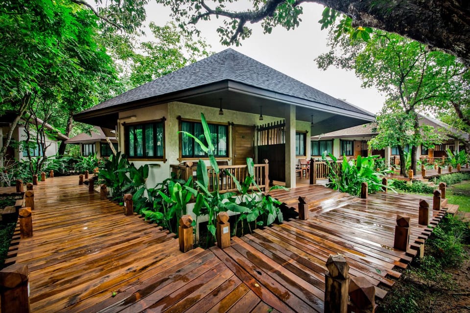 Photo of the whole room, Area and facilities