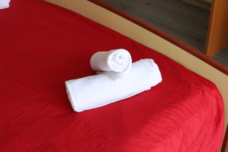 Vila Meteor Bed and Breakfast in Cluj-Napoca