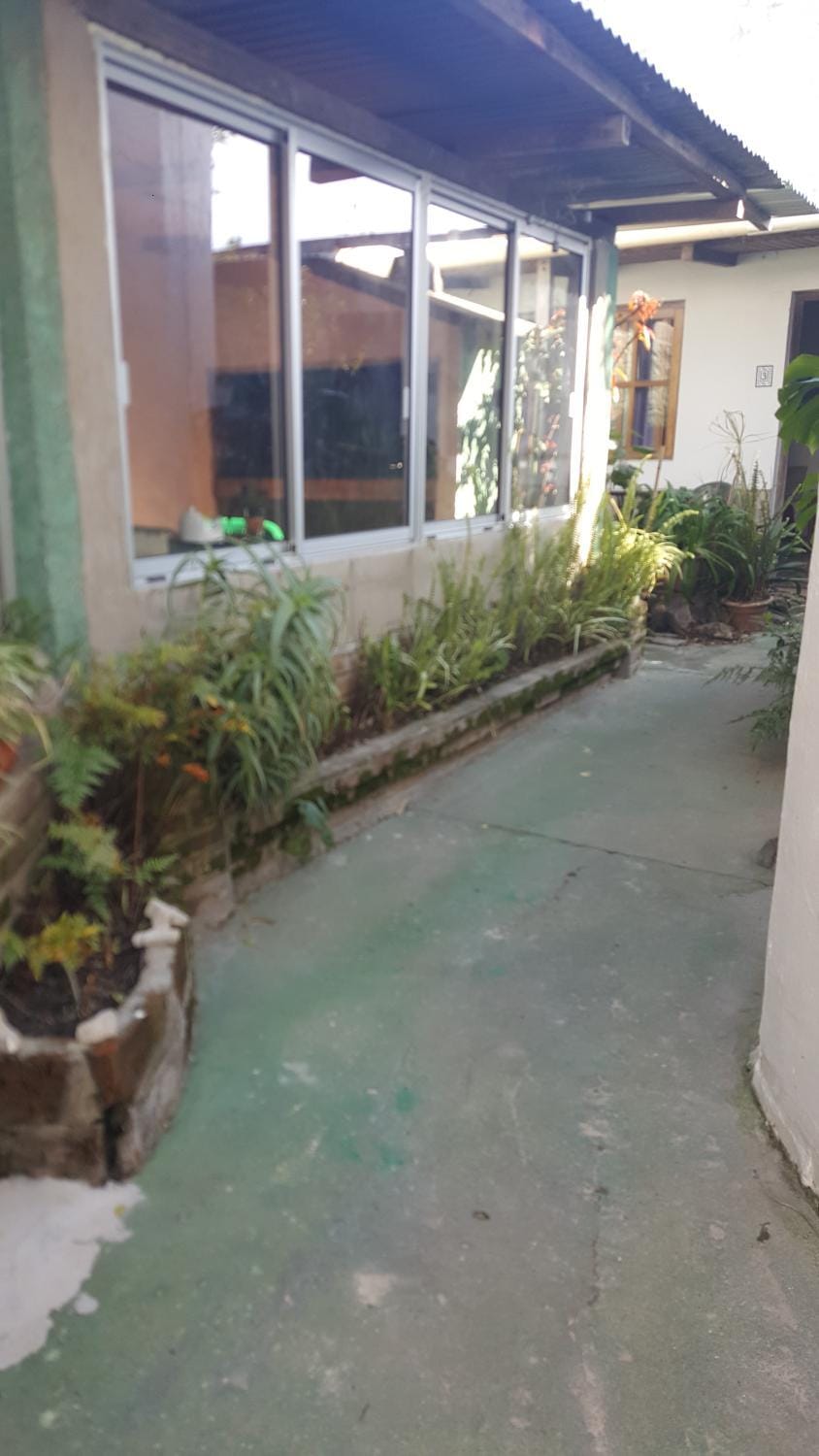 Garden, Other, Location, Sunset