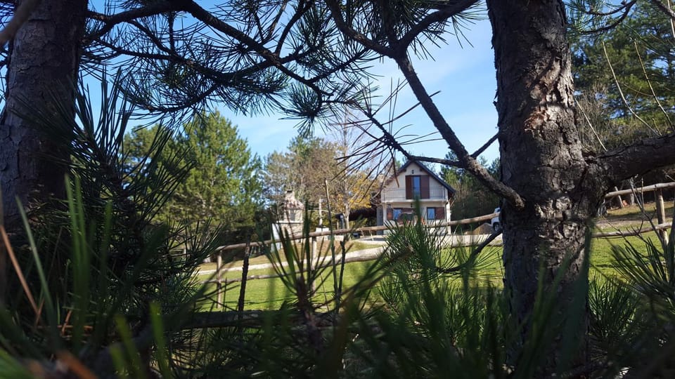 Property building, Day, Natural landscape, Garden, Garden view