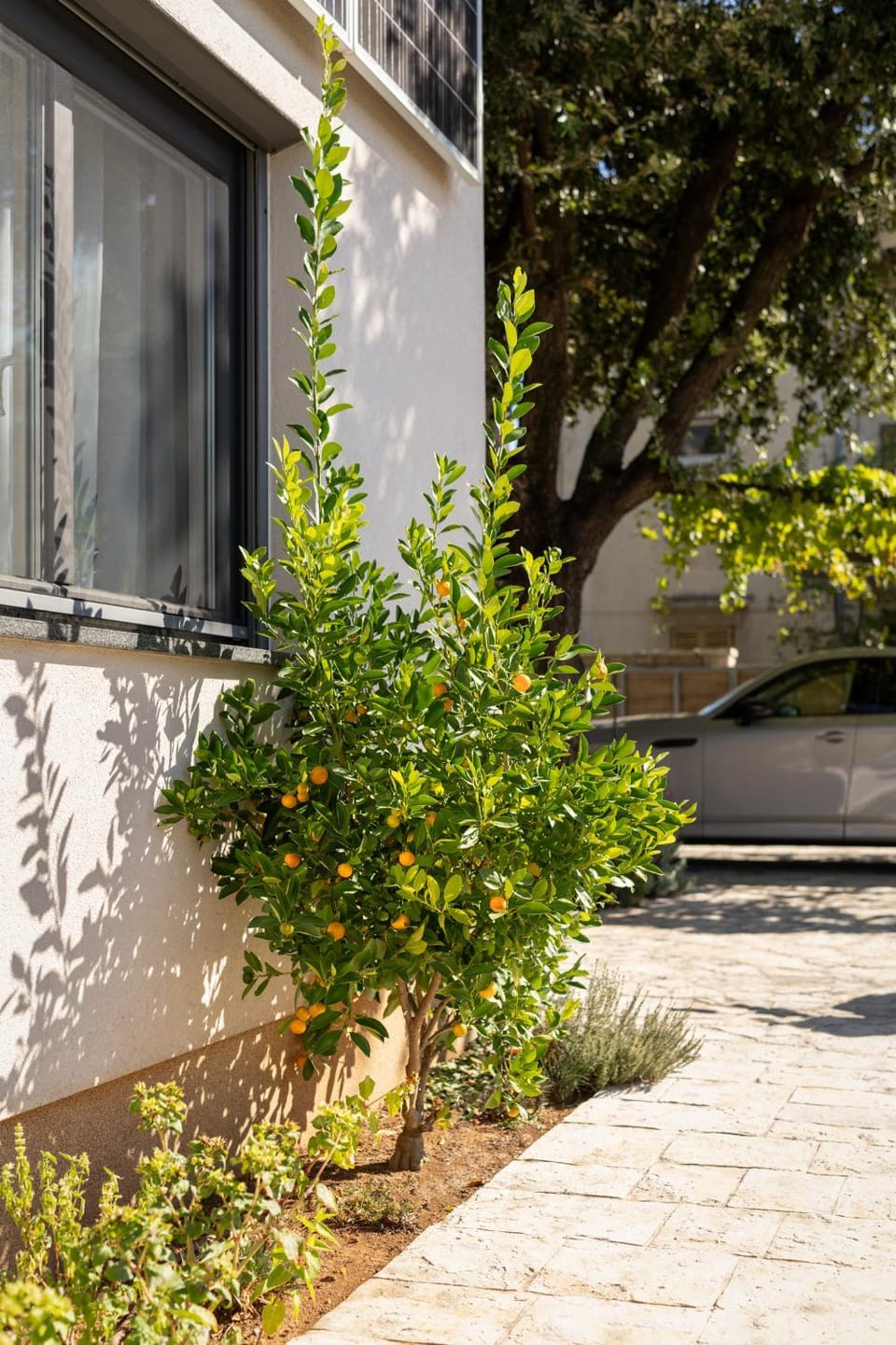 Perec Apartments Apartment in Novi Vinodolski