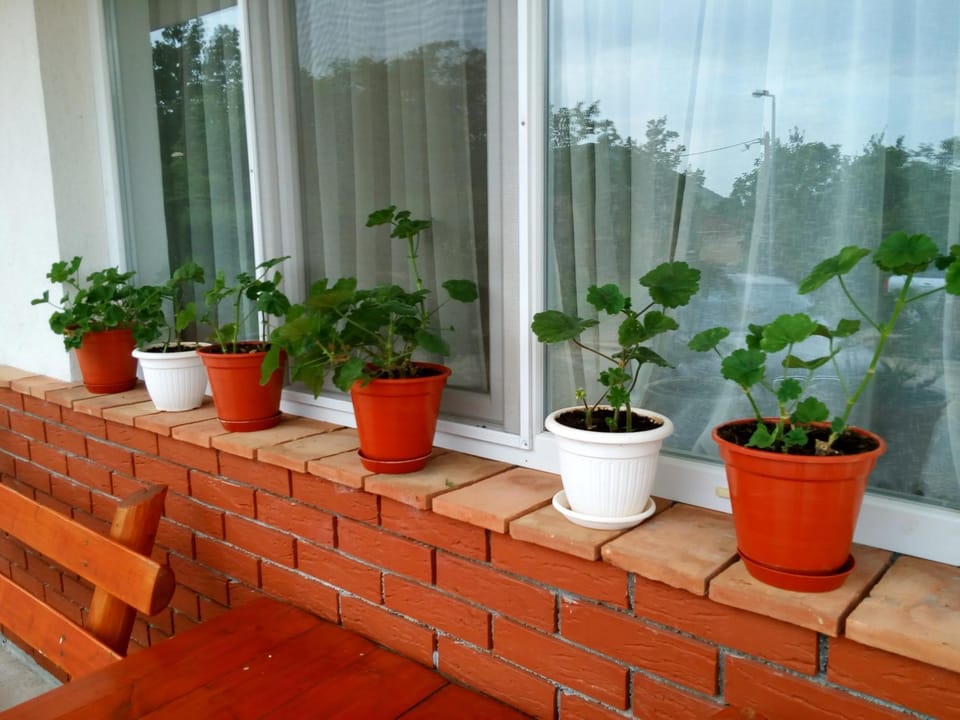 Rooms Ava Raj Bed and Breakfast in Federation of Bosnia and Herzegovina