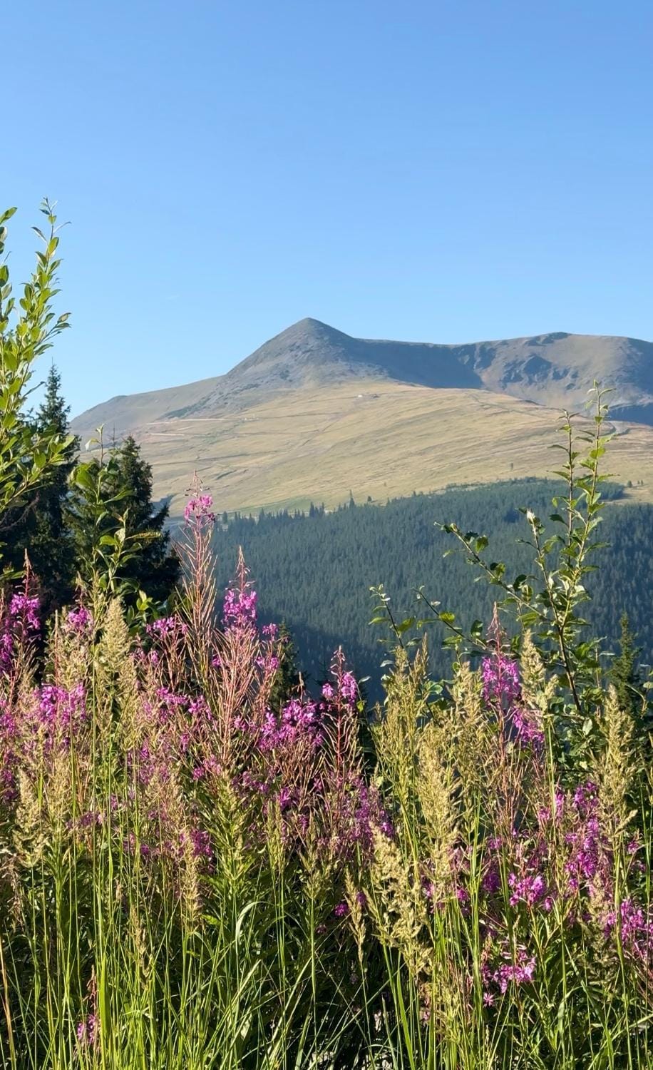 Nearby landmark, Natural landscape, Mountain view