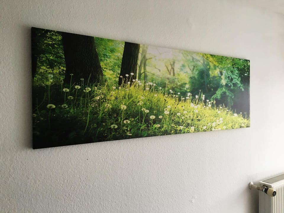 Photo of the whole room