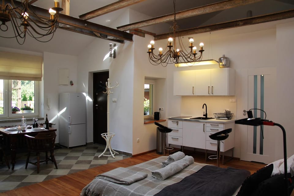 Kitchen or kitchenette, Photo of the whole room, Decorative detail