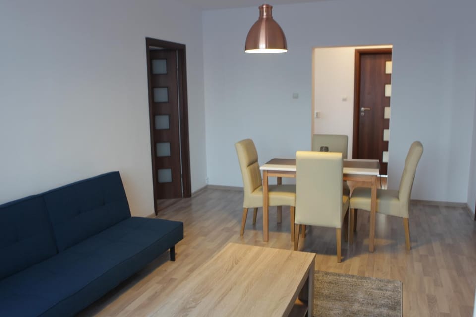 Joy Apartment Apartment in Timisoara