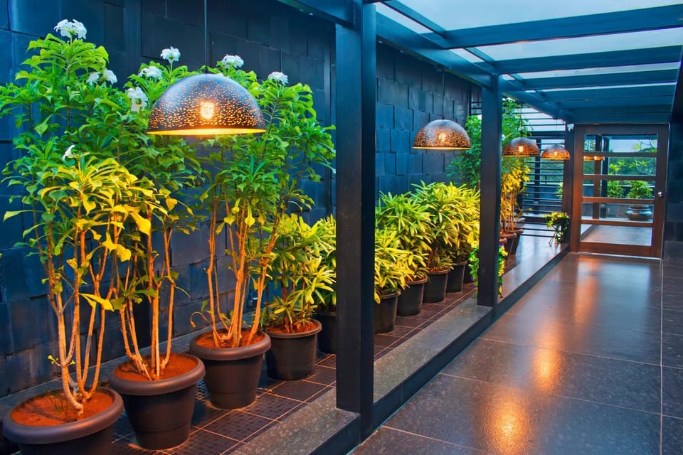 Garden view
