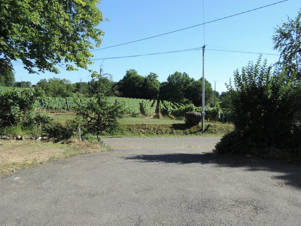 View (from property/room)