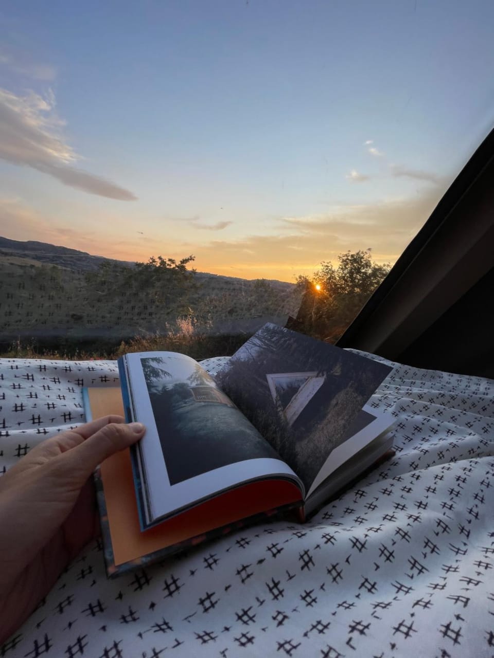 Bed, Sunrise