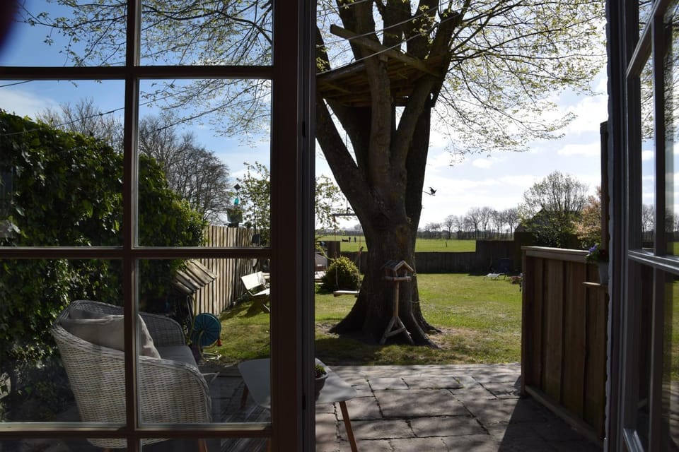 Garden view