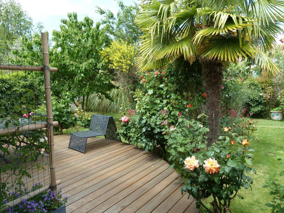 Garden view