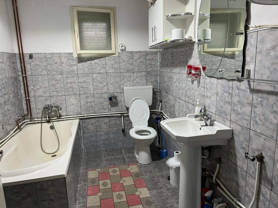 Casa Danut House in Romania
