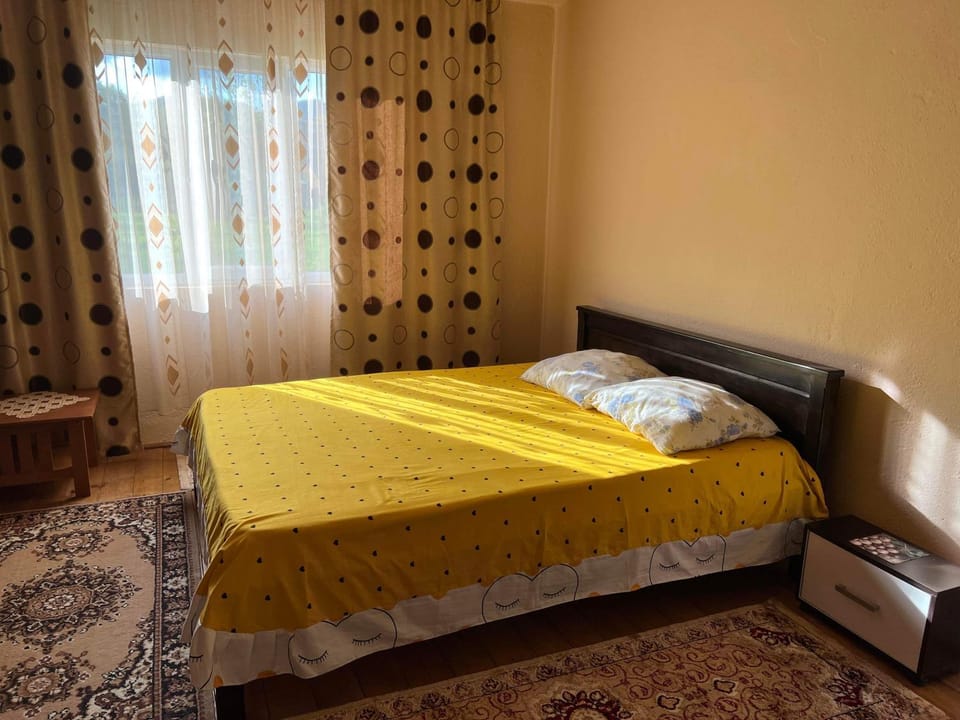 Casa Danut House in Romania
