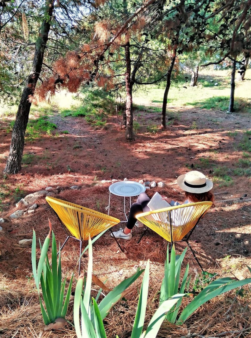Natural landscape, Garden, Decorative detail, Area and facilities
