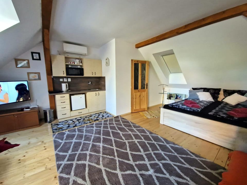 Nad Vinnym Sklipkem Apartment in South Moravian Region