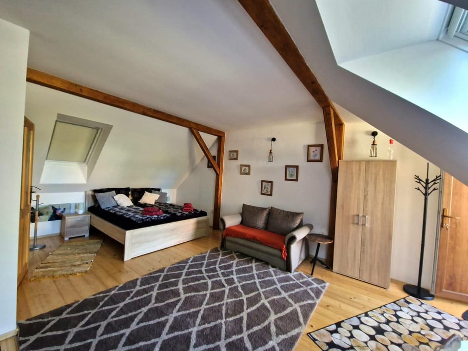 Nad Vinnym Sklipkem Apartment in South Moravian Region