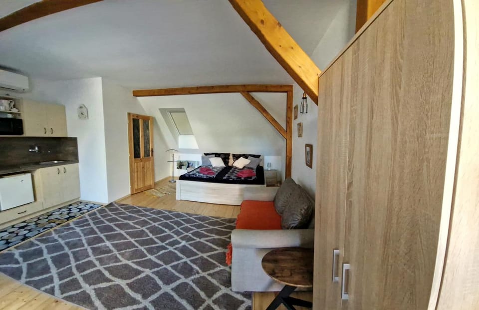 Nad Vinnym Sklipkem Apartment in South Moravian Region