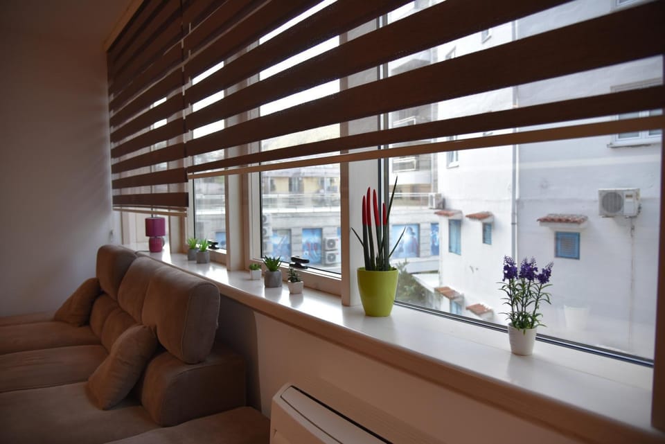 Shower, Patio, Garden, Library, Bathroom, TV and multimedia, Kitchen or kitchenette, Living room, Seating area, Bedroom, Bath