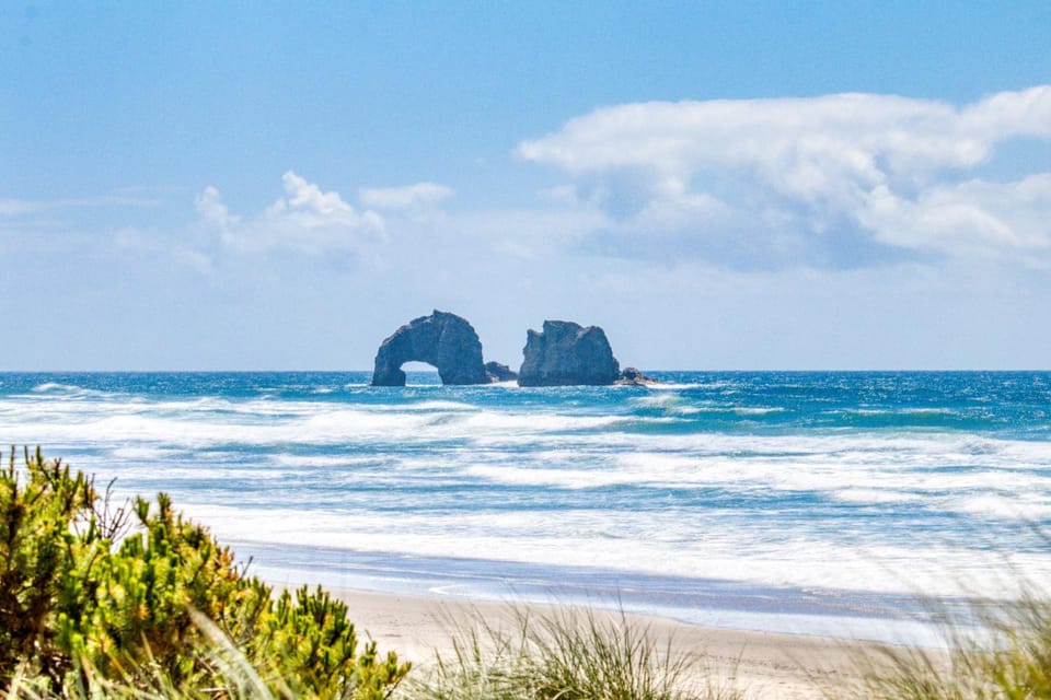 Starfish & Dolphin Combo House in Rockaway Beach