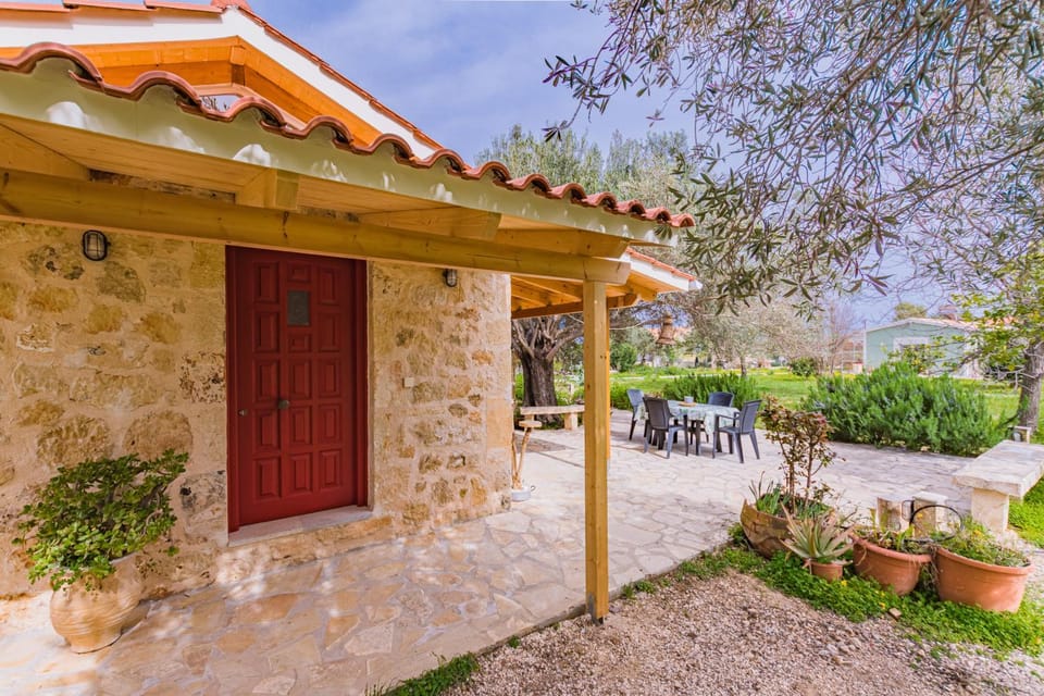 Spring, Garden, Garden view