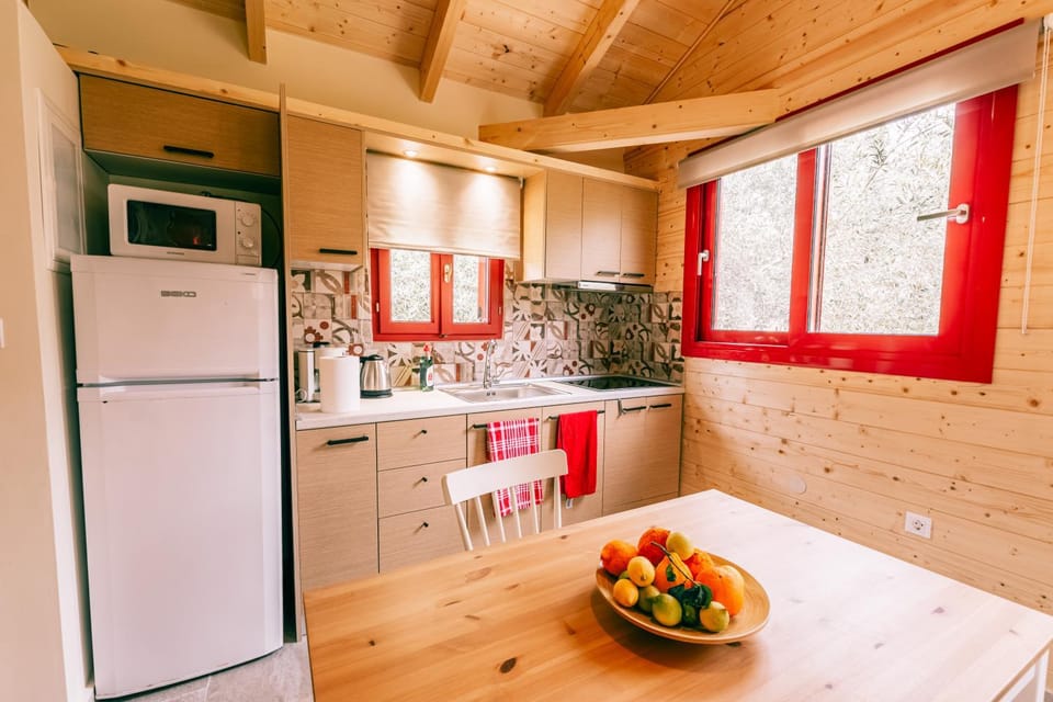 Kitchen or kitchenette, Food and drinks, Dining area, minibar, stove