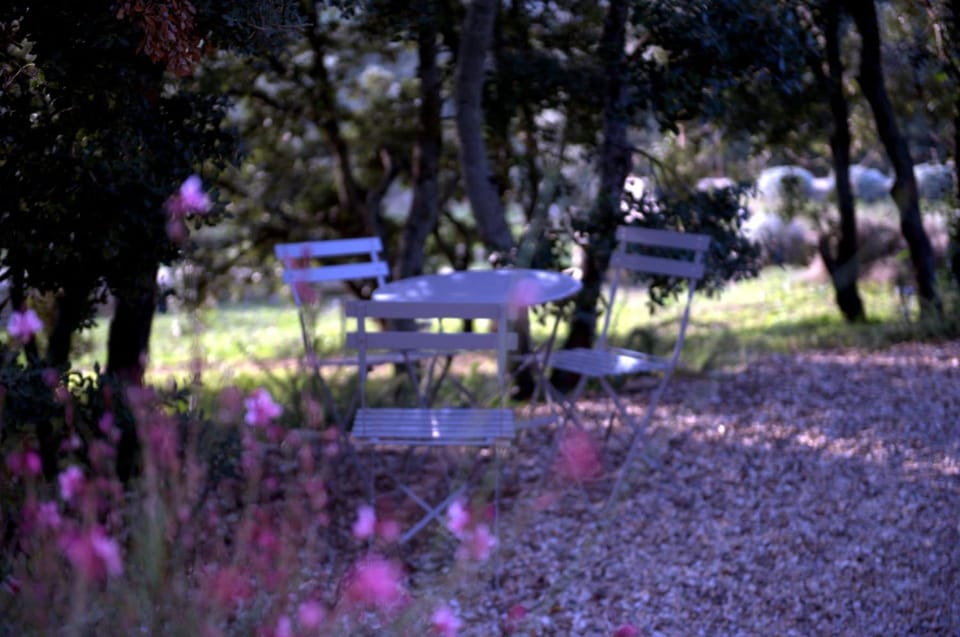 Garden, Balcony/Terrace
