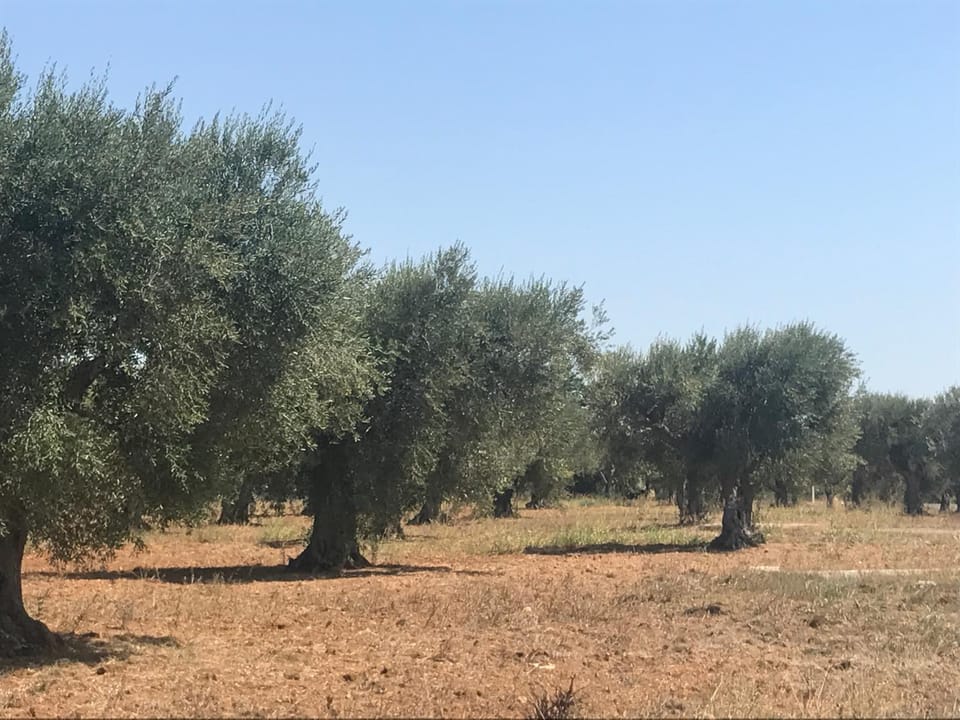Natural landscape