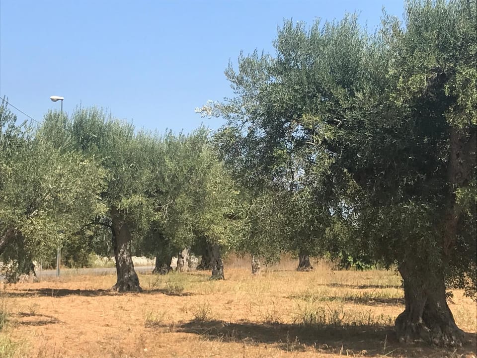 Natural landscape