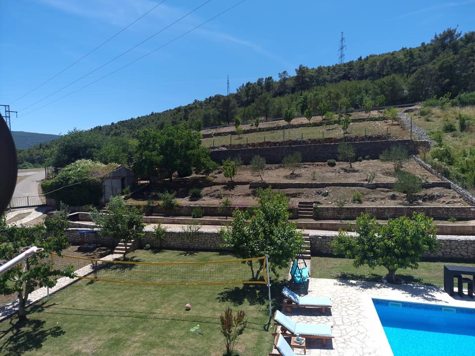 Day, Natural landscape, Garden view