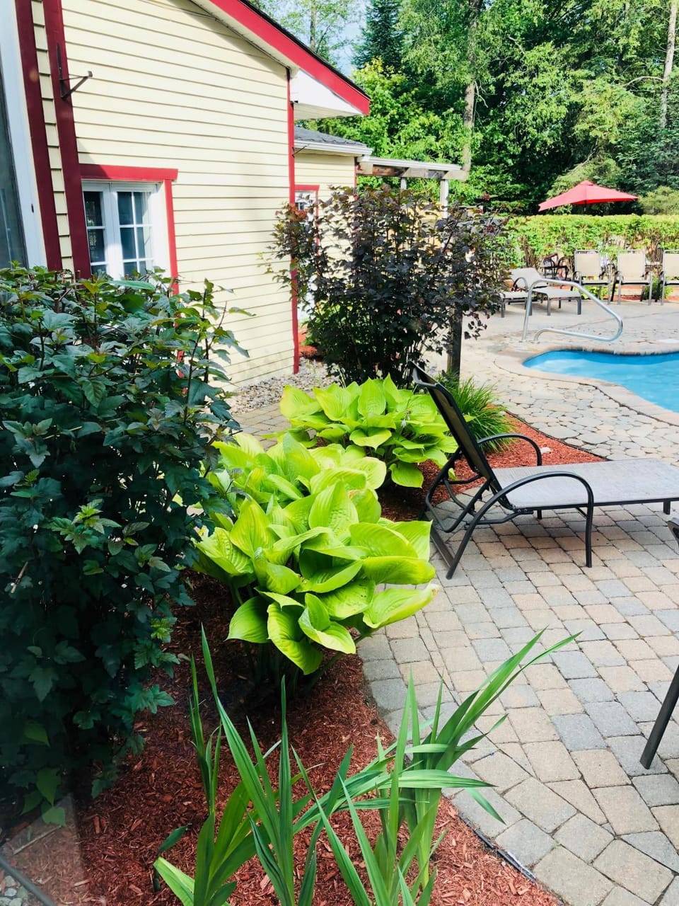 Patio, Garden