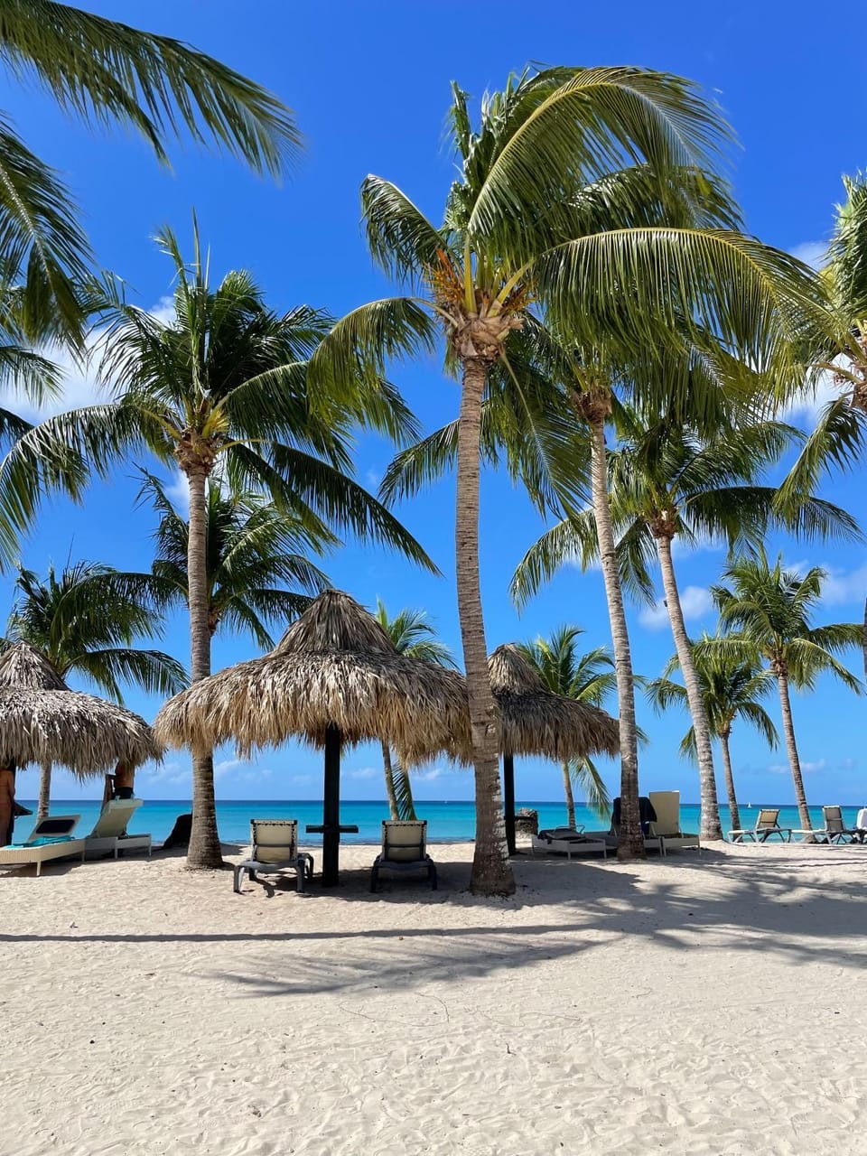 2BR 2BA Beachfront With View 71 Apartment in Los Melones