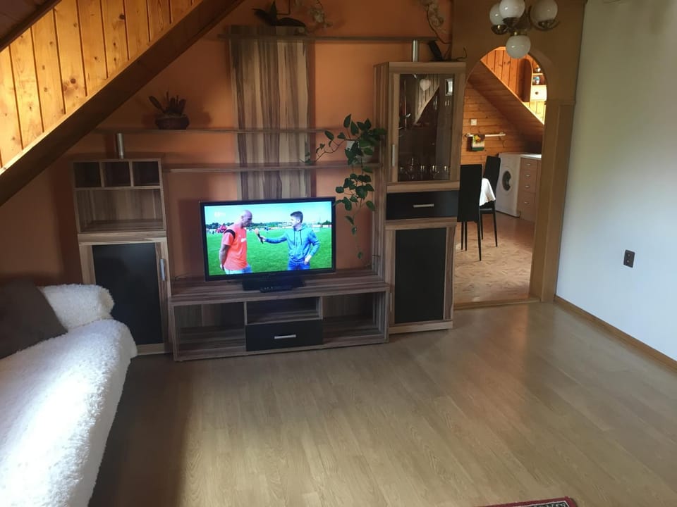 TV and multimedia, Living room
