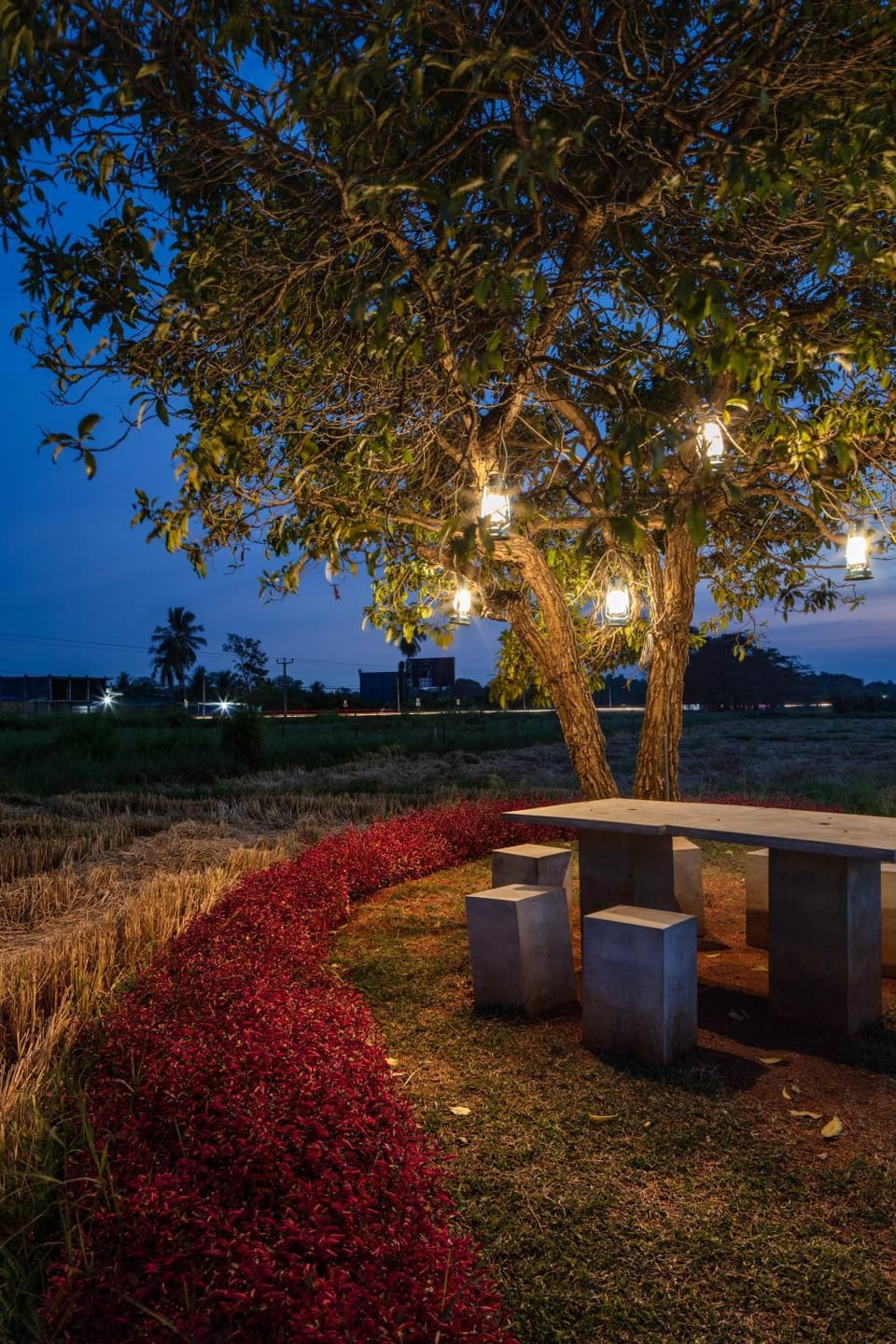 Natural landscape, Garden