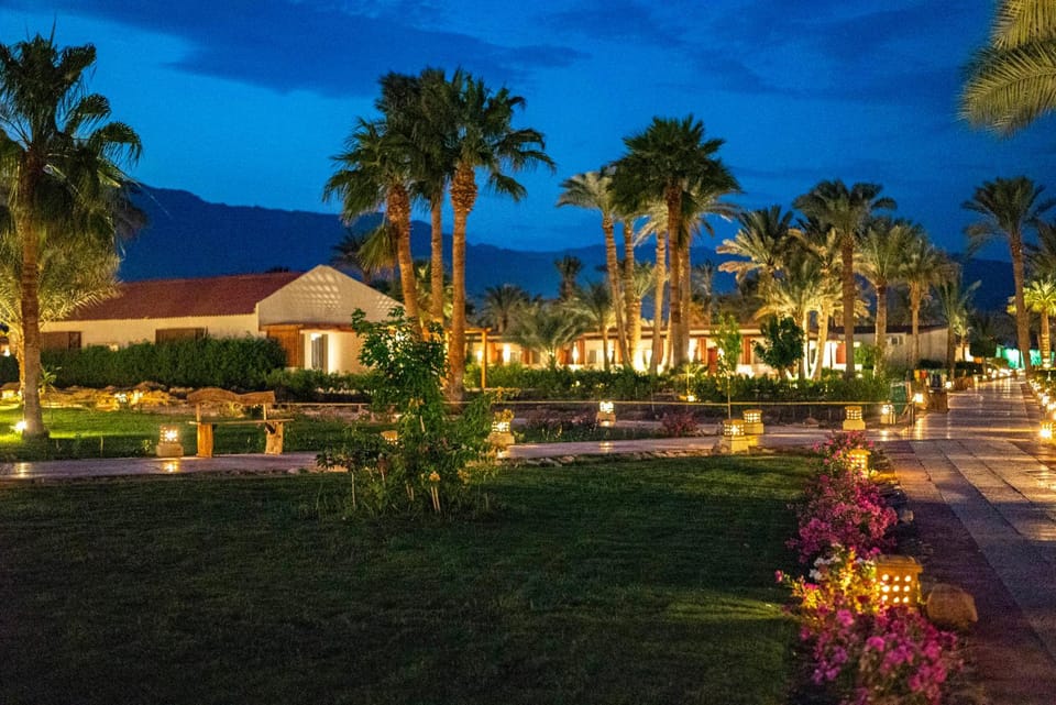 Property building, Night, Natural landscape, Garden, Garden view
