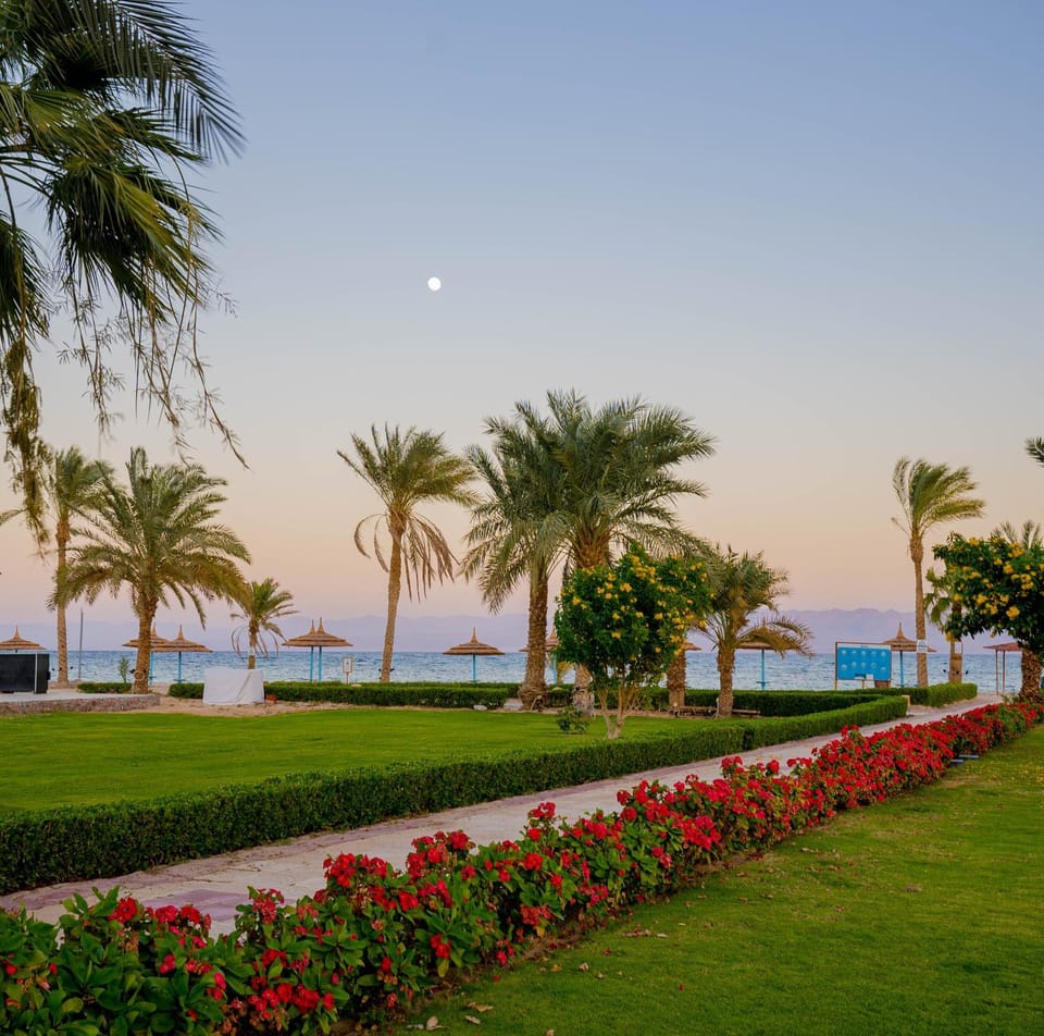 Spring, Natural landscape, Garden, Sea view