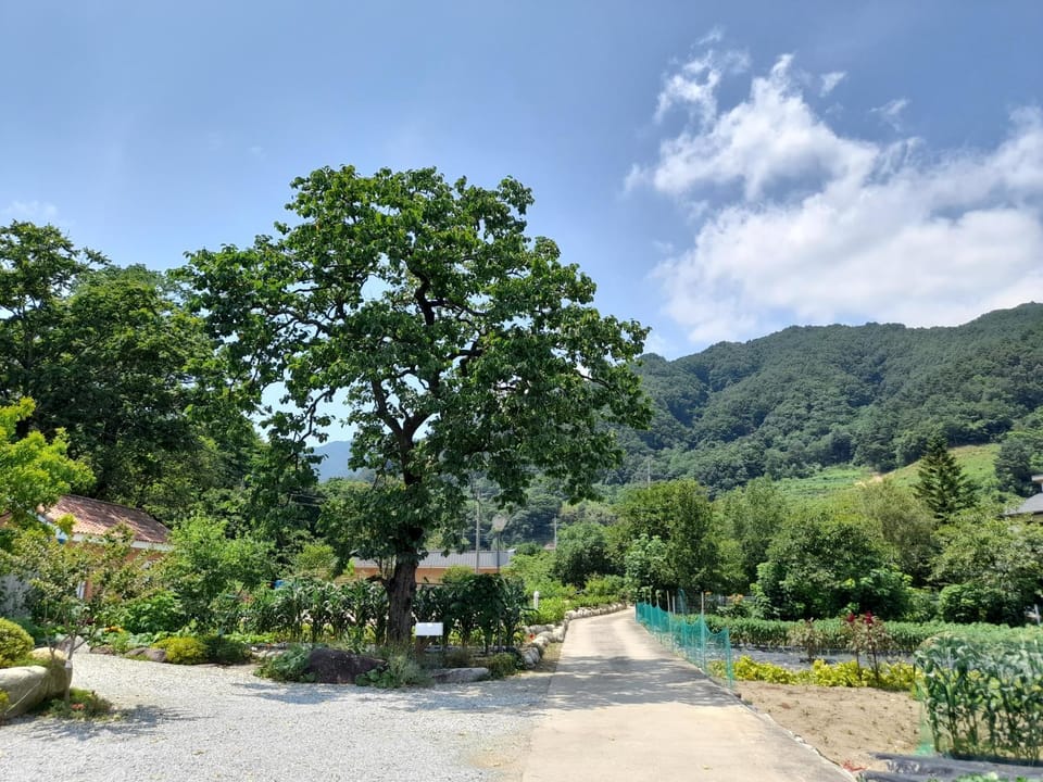 Izmir Pension House in South Korea