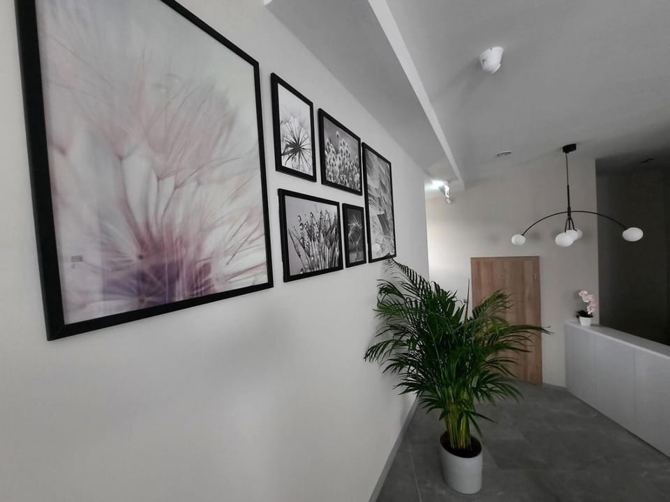 Hot Spring Bath, Lobby or reception