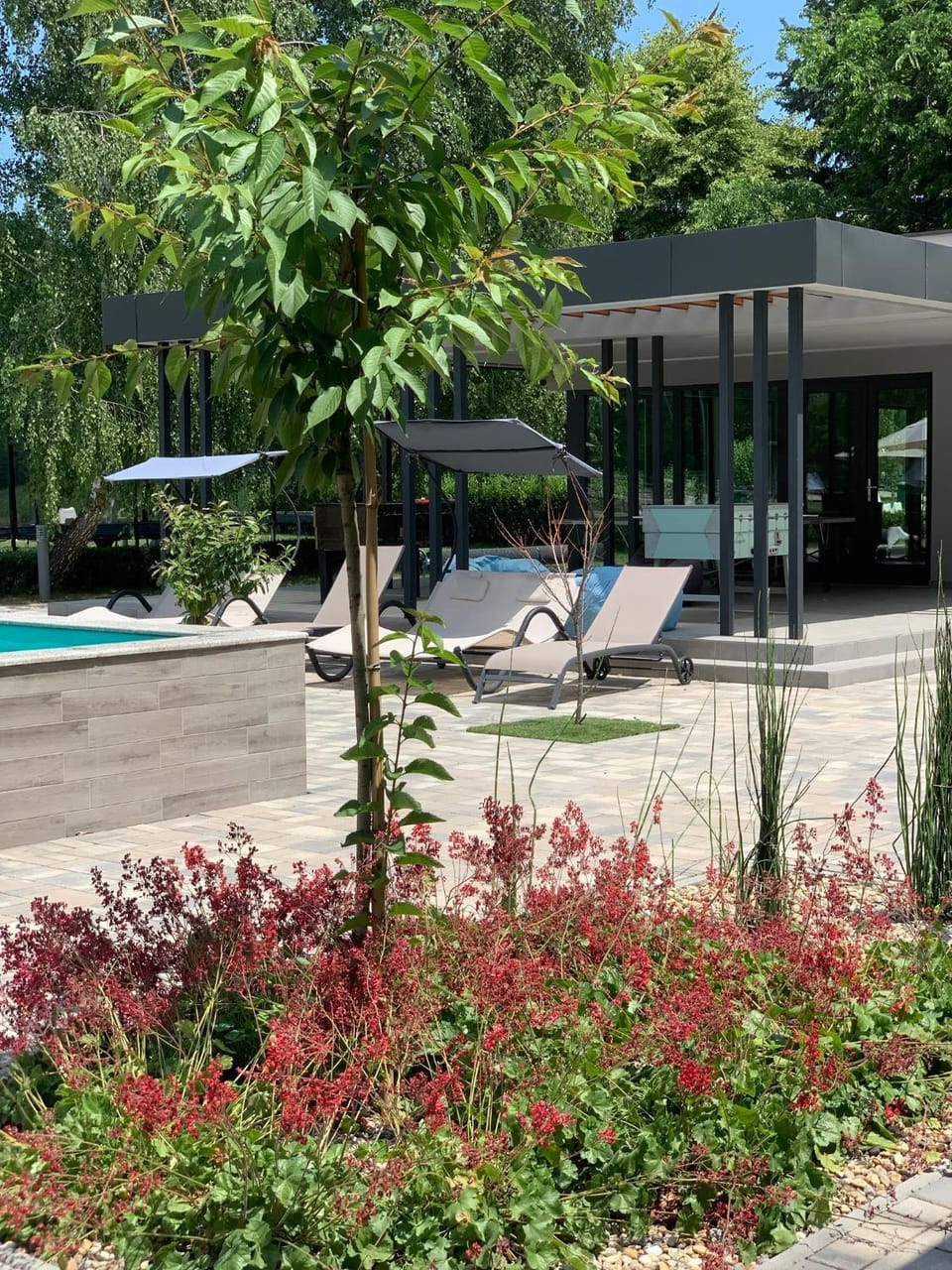 Garden, Swimming pool